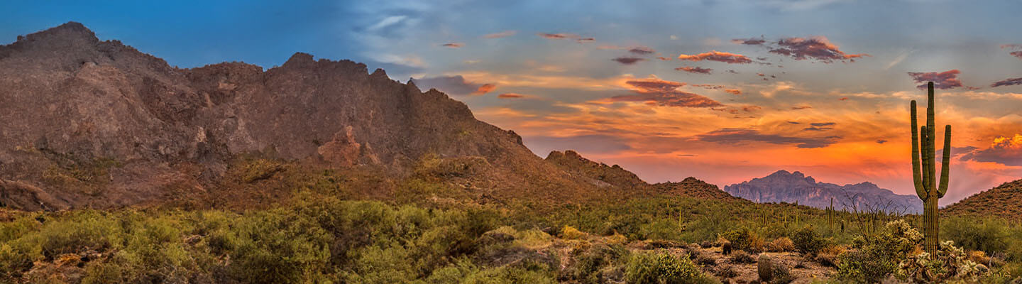 Tucson Medical Center Saguaro Physicians
